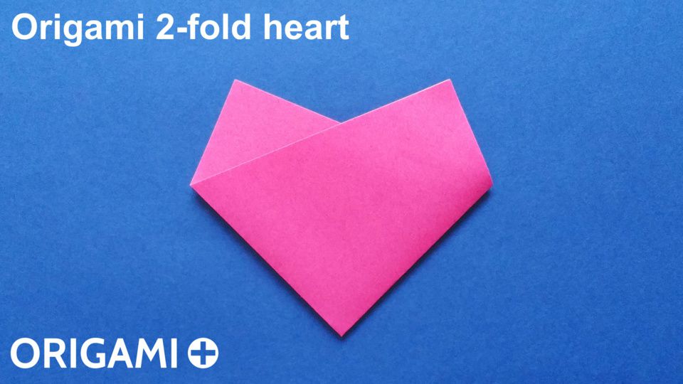 2-fold heart