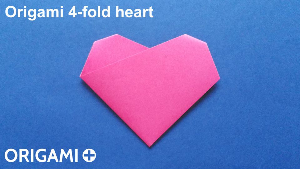 4-fold heart