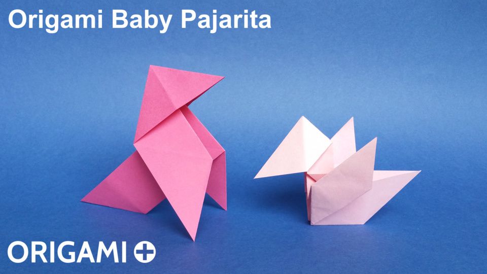 Baby Pajarita