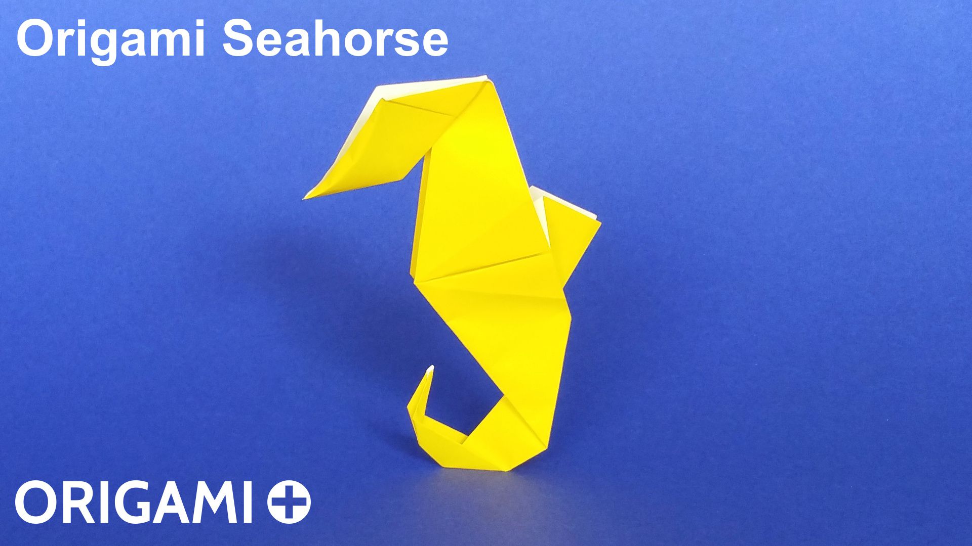 Seahorse offers origami frame