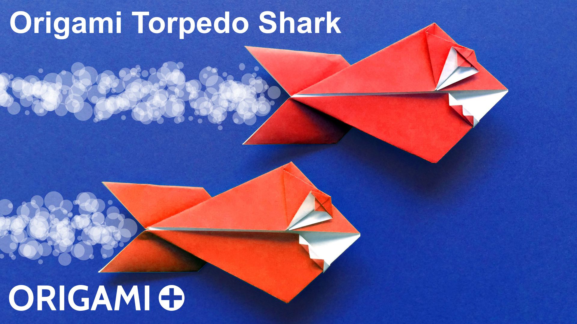 picture shark face torpedo