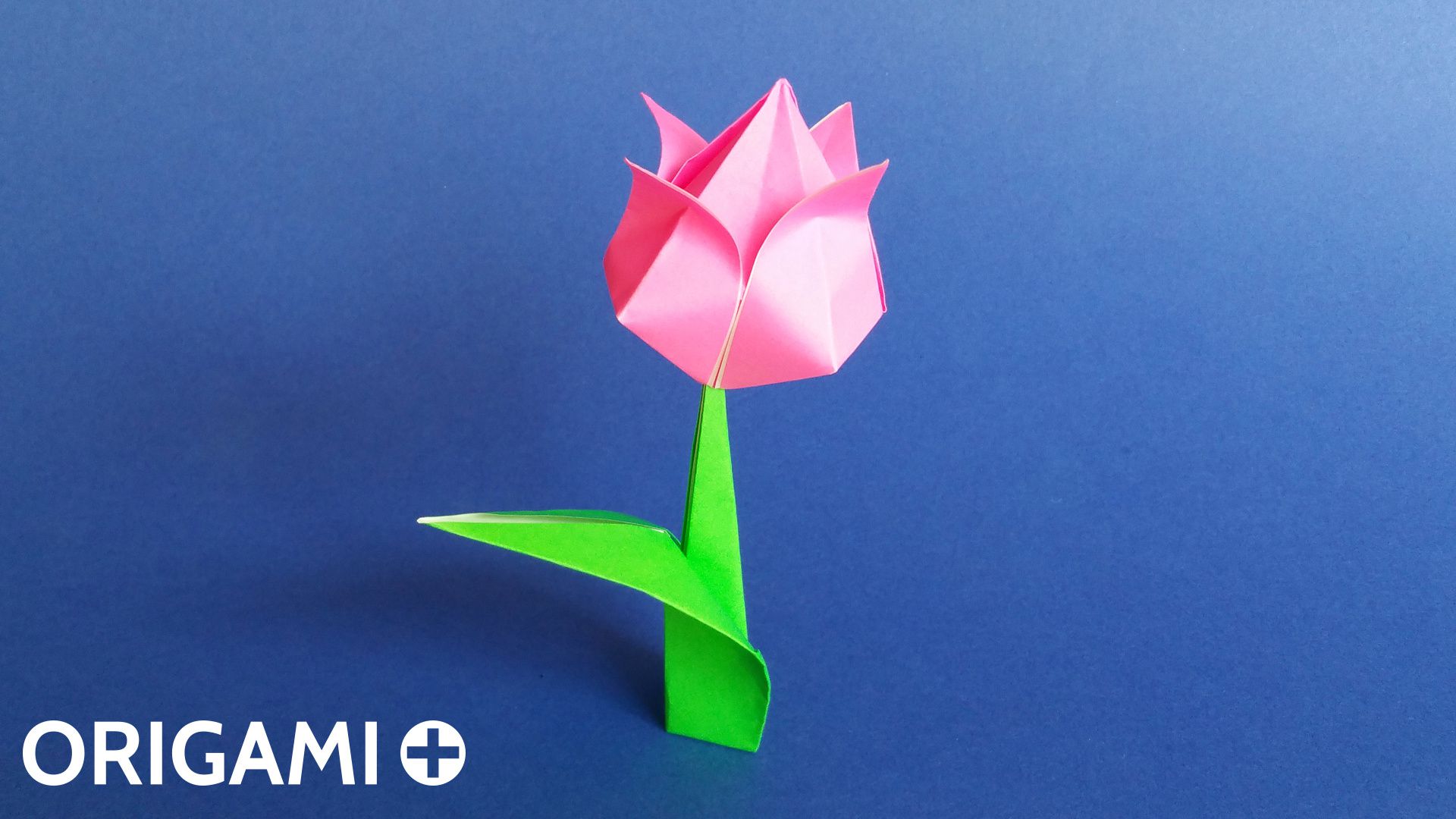 How to Make Origami Flowers - Step by Step Origami Tulip Instructions