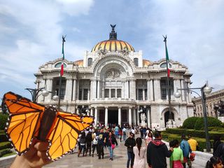 Stunning Origami Monarch Butterfly in Mexico City