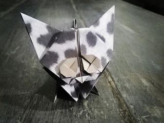 Cute white and black kitten by Origami Invasion