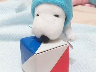 France Origami Flag Box by 葉老蘇